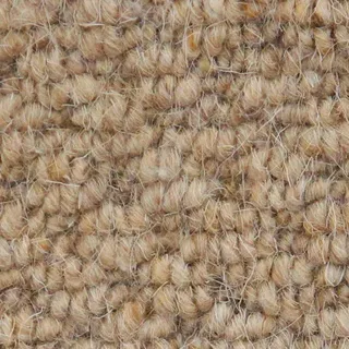 Vanguard Auckland – Hive Corn