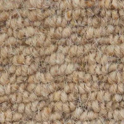 Vanguard Auckland - Hive Corn