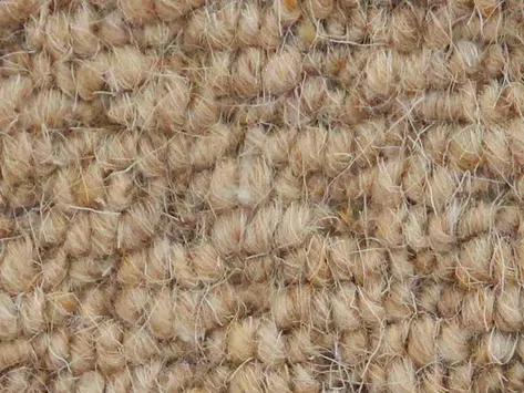 Vanguard Auckland - Hive Corn