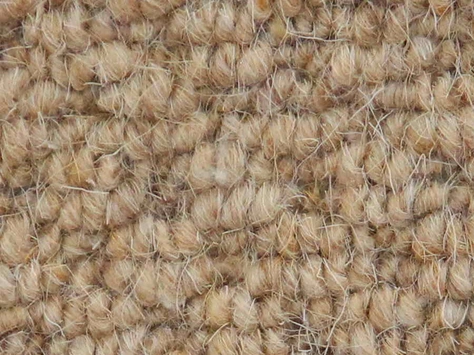 Vanguard Auckland - Hive Corn