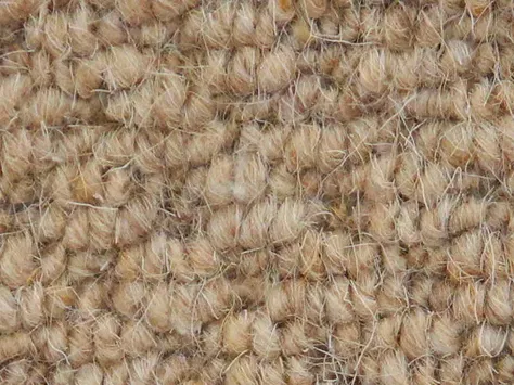 Vanguard Auckland - Hive Corn