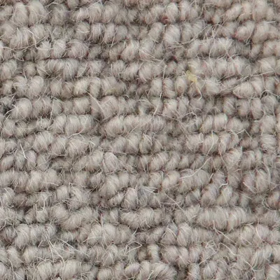 Vanguard Auckland - Hive Moon