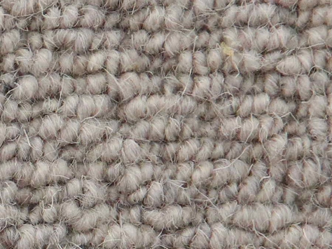 Vanguard Auckland - Hive Moon