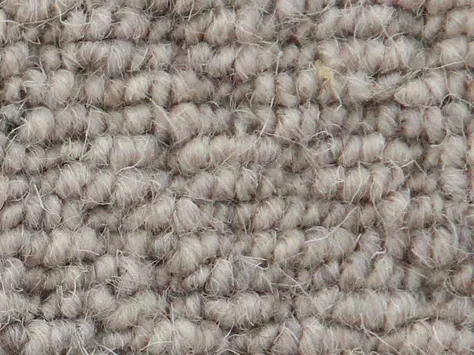 Vanguard Auckland - Hive Moon