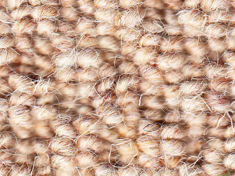 Vanguard Auckland - Hive Oatmeal