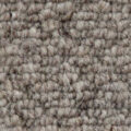 Vanguard Auckland – Hive Stone