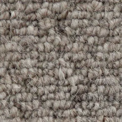 Vanguard Auckland - Hive Stone