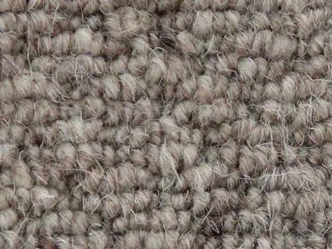 Vanguard Auckland - Hive Stone