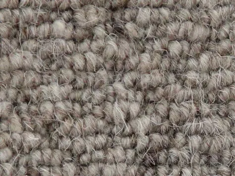 Vanguard Auckland - Hive Stone