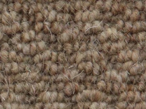 Vanguard Auckland - Hive Tobacco