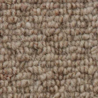 Vanguard Auckland – Hive Wheat