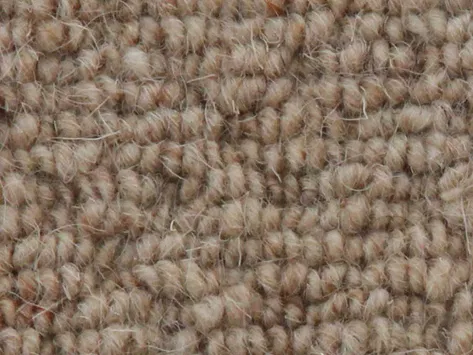 Vanguard Auckland - Hive Wheat