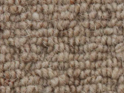 Vanguard Auckland - Hive Wheat