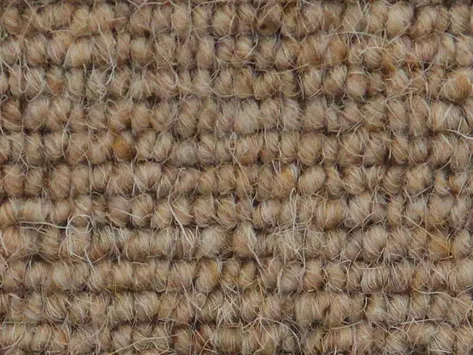 Vanguard Auckland - Linear Corn