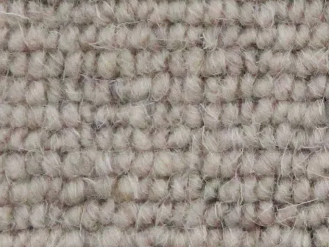 Vanguard Auckland - Linear Moon