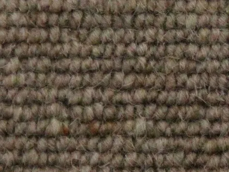 Vanguard Auckland - Linear Tobacco