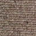 Vanguard Auckland – Linear Wheat