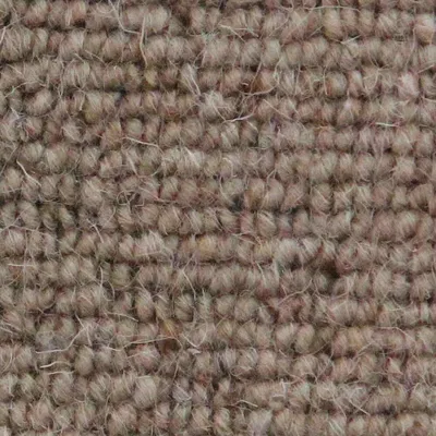 Vanguard Auckland - Linear Wheat