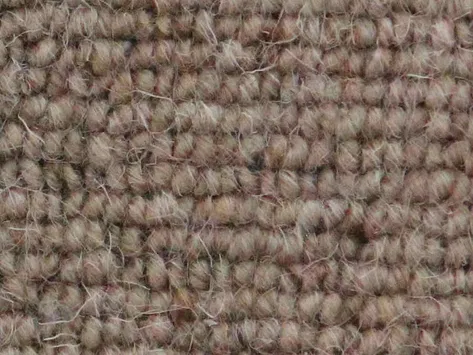 Vanguard Auckland - Linear Wheat