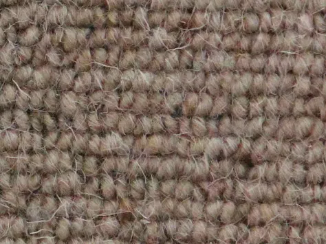 Vanguard Auckland - Linear Wheat