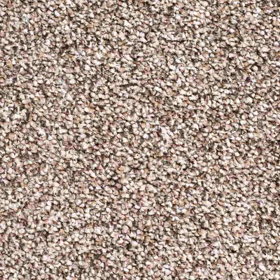 Vanguard Elysium - Cookie Dough