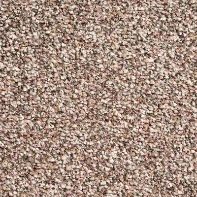 Vanguard Elysium - Latte