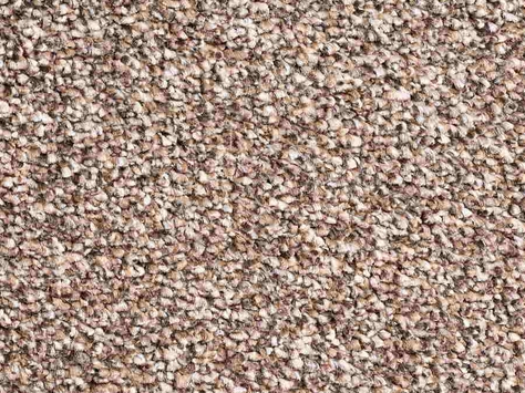 Vanguard Elysium - Latte