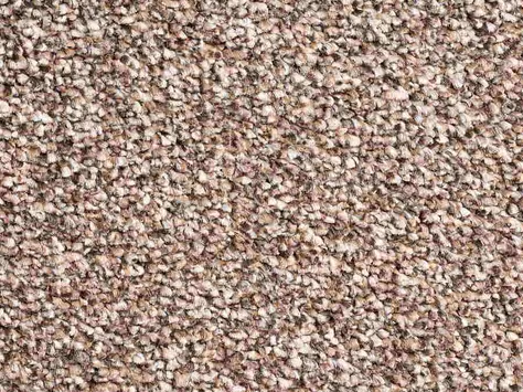 Vanguard Elysium - Latte