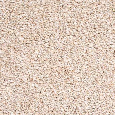 Vanguard Elysium - Sahara