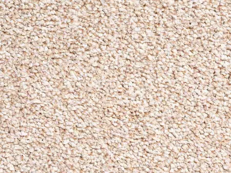 Vanguard Elysium - Sahara