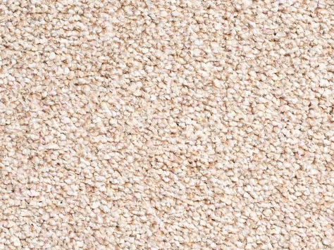 Vanguard Elysium - Sahara