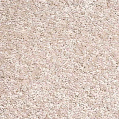 Vanguard Elysium - Seashell