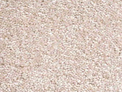 Vanguard Elysium - Seashell