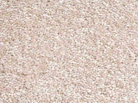 Vanguard Elysium - Seashell