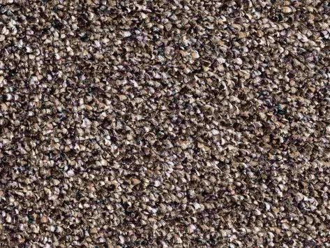 Vanguard Elysium - Thunder