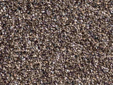 Vanguard Elysium - Thunder