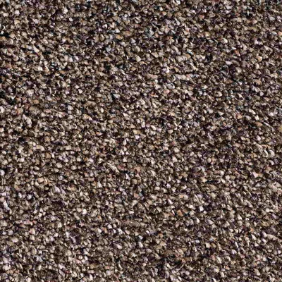 Vanguard Elysium - Truffle