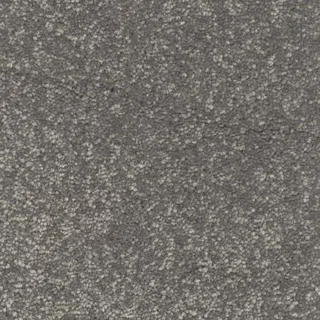 Vanguard Silk Harmony – Silver