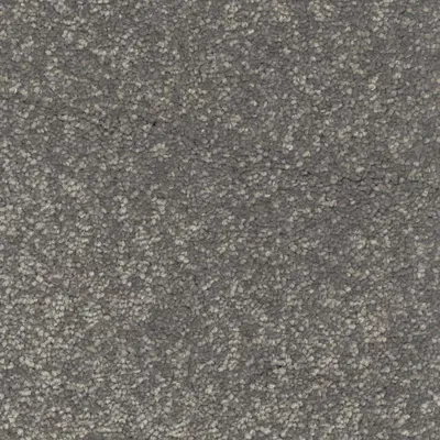 Vanguard Silk Harmony - Silver