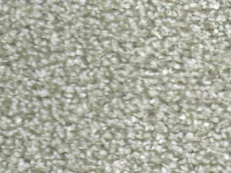 Vanguard Silk Harmony - Silver Birch