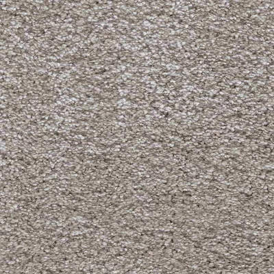 Vanguard Symphony - Fog