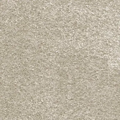 Vanguard Symphony - Oyster