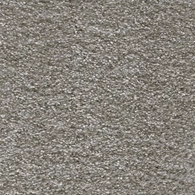 Vanguard Symphony - Porpoise