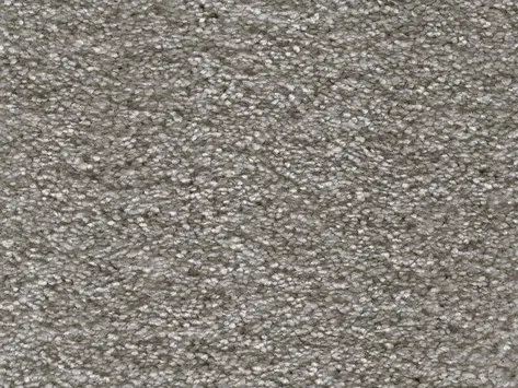 Vanguard Symphony - Porpoise