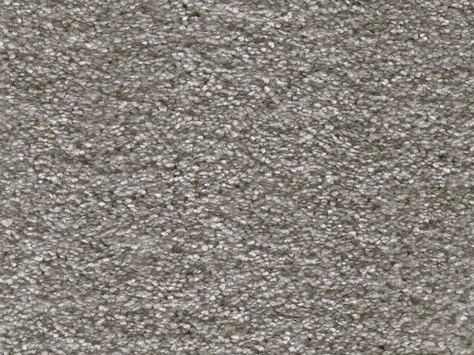 Vanguard Symphony - Porpoise