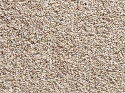 Vanguard Eminence - Biscuit