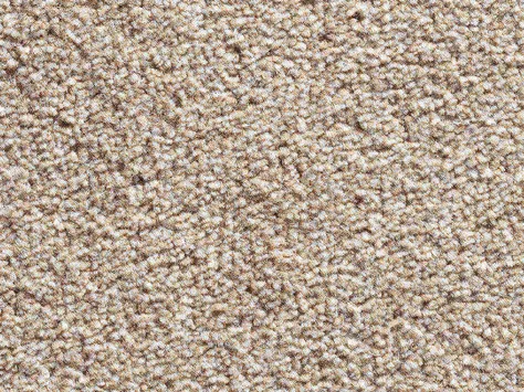 Vanguard Eminence - Biscuit