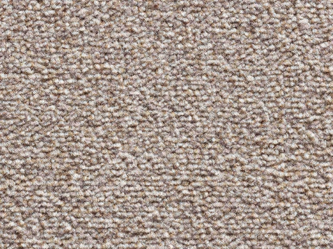 Vanguard Eminence - Cookie