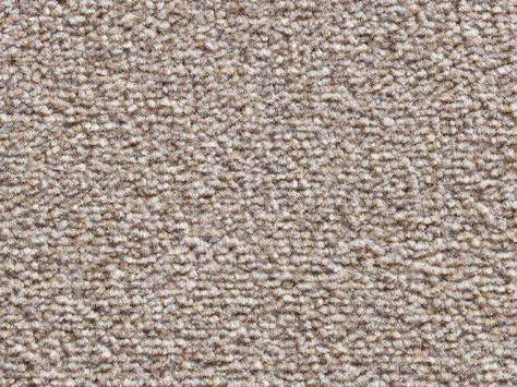 Vanguard Eminence - Cookie