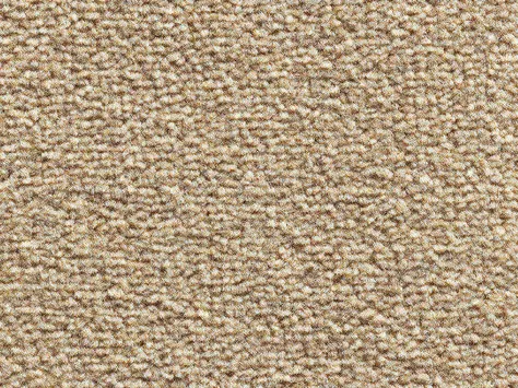 Vanguard Eminence - Corn